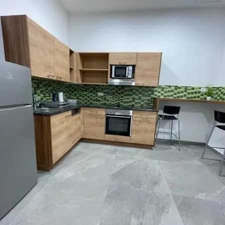 Wels Inn City Apartments Apartment