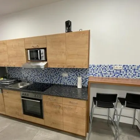 Wels Inn City Apartments Apartment